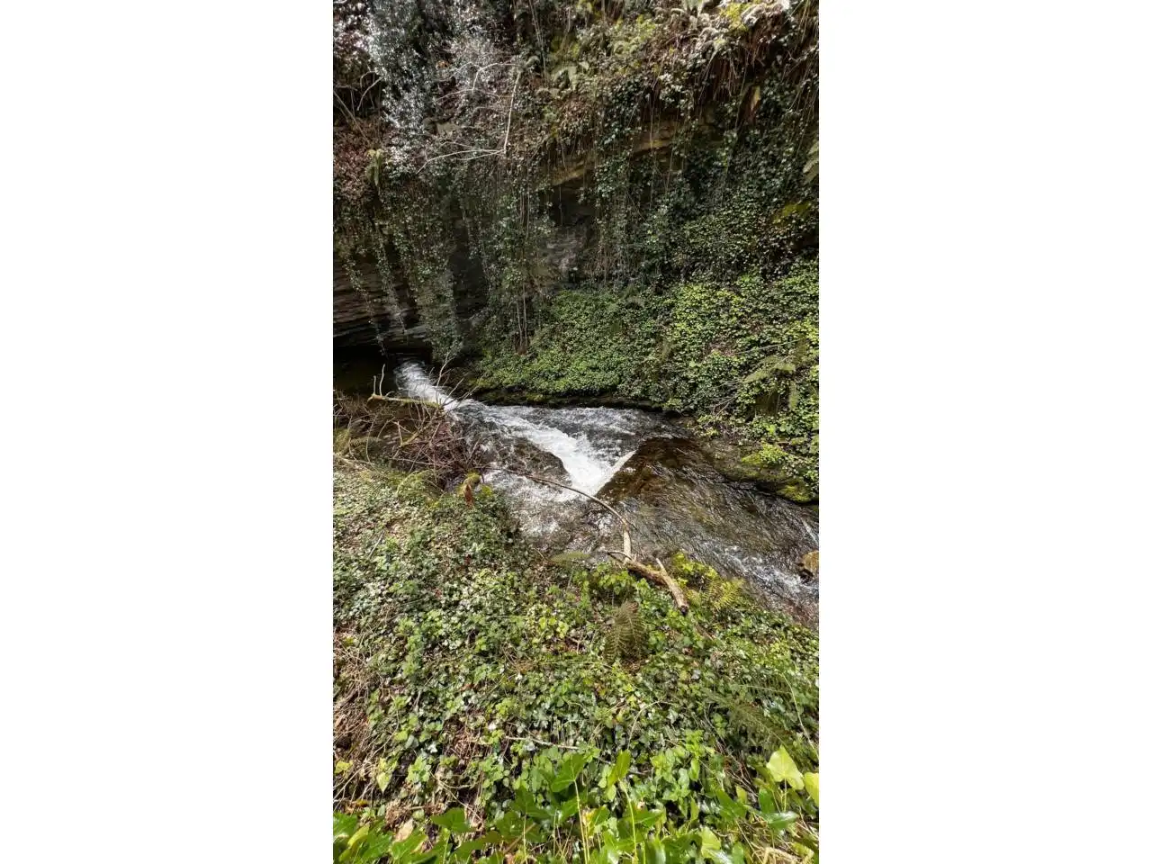 Vista exterior de Casa o xalet en venda en Merindad de Montija amb Calefacció, Jardí privat i Parquet