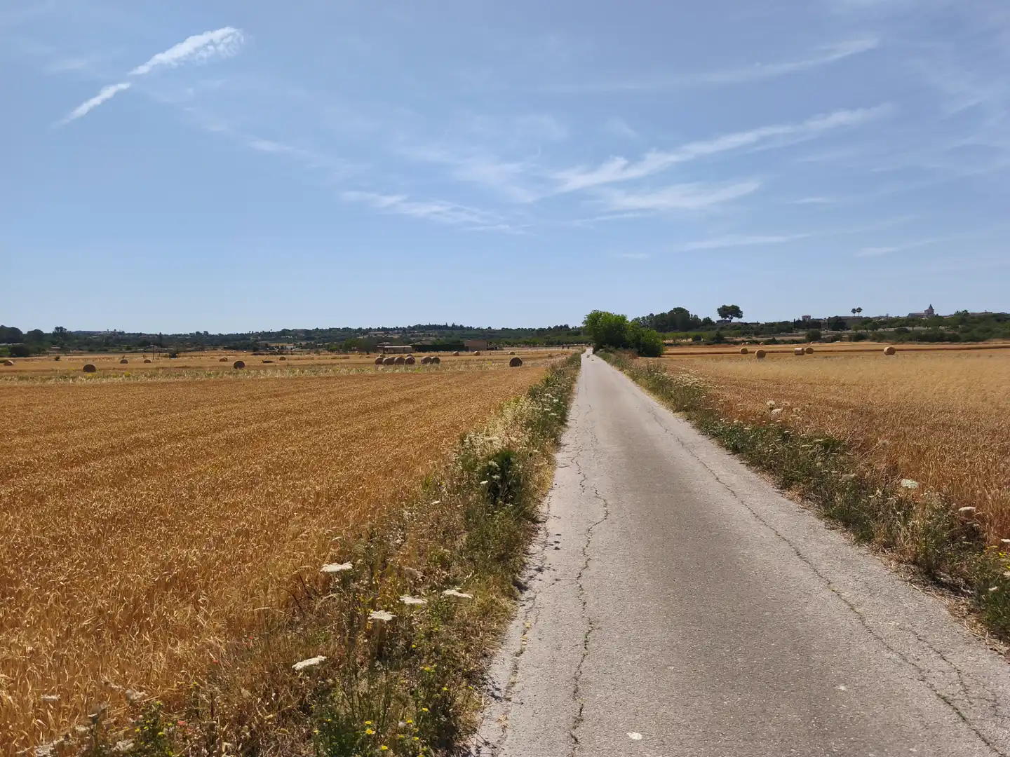 Terreno rustico in vendita a Montuïri, imagen 6