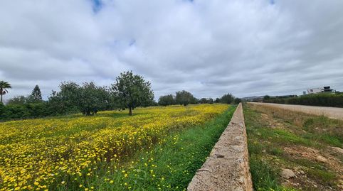 Foto 2 de Terreny en venda a Llucmajor pueblo, Llucmajor