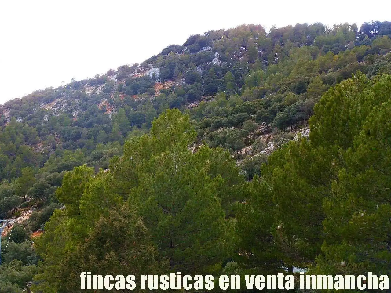 Terreno rústico en venta en Nerpio, imagen 7