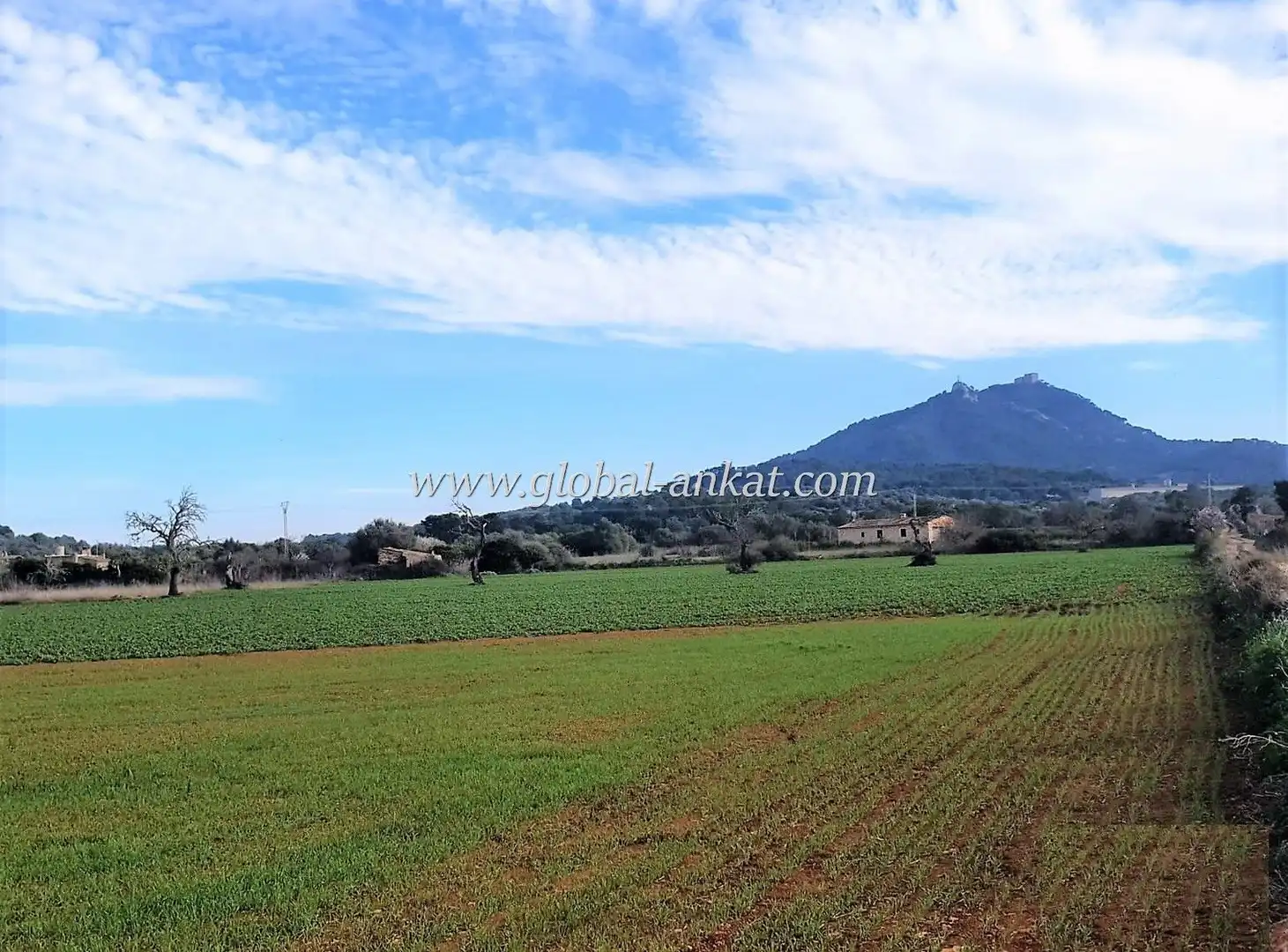 Residential land for sale in S'Horta - Cas Concos des Cavaller - Es Carritxó