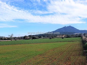 Wohnbaugrundstück zum Verkauf in S'Horta - Cas Concos des Cavaller - Es Carritxó