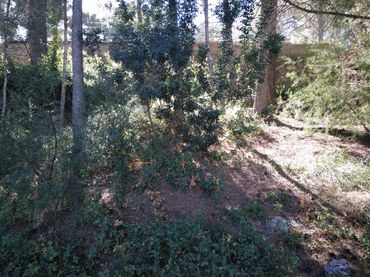 Wohnbaugrundstück zum Verkauf in Gestalagar