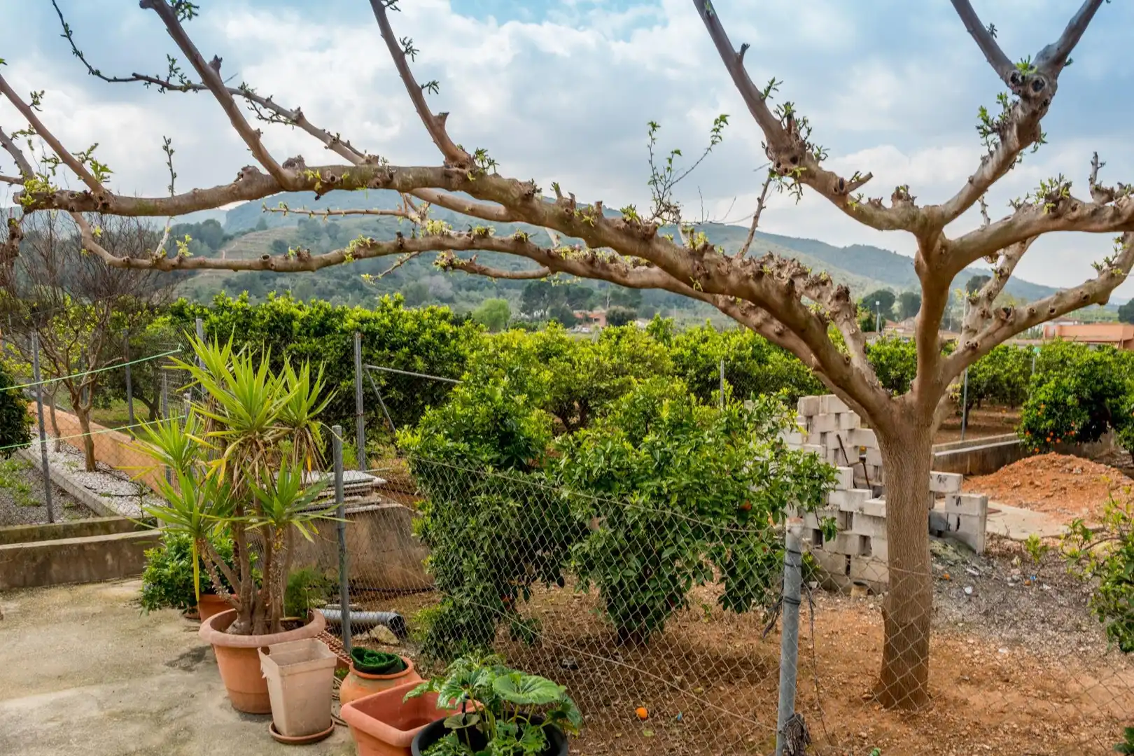 Terraza de Casa o chalet en venta en Canals