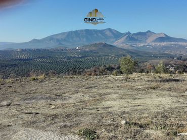 Terreni e lotti in vendita a La Guardia de Jaén