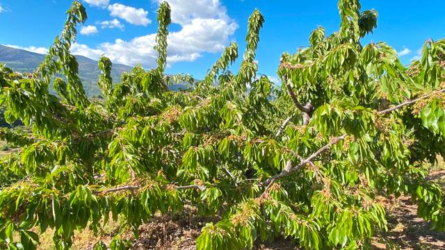 Terreno en Venta en Valdastillas
