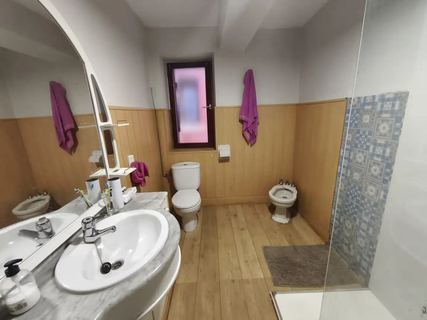 Bathroom of Detached homes for sale in Altsasu / Alsasua  with Balcony