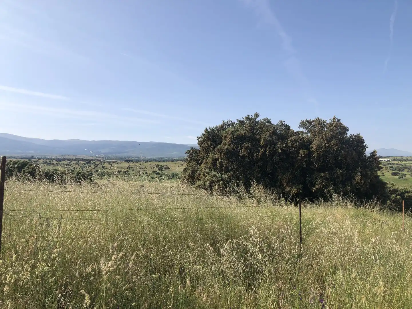 Terreni e lotti in vendita a Pelayos del Arroyo, imagen 9