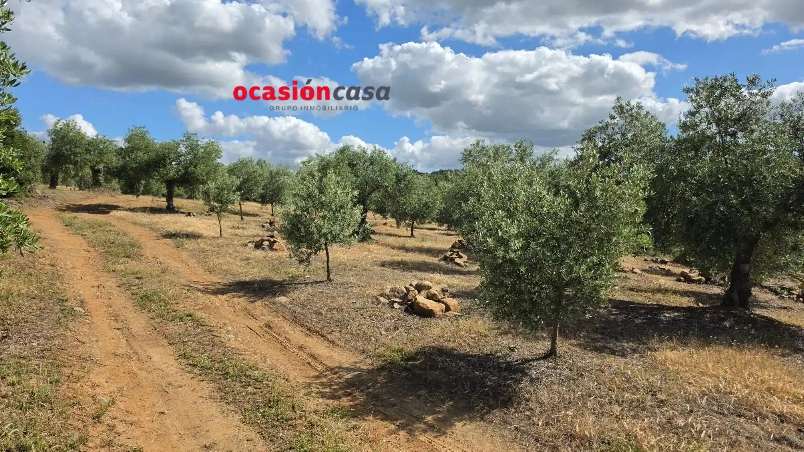 Residential land for sale in Fuente Obejuna, imagen 3