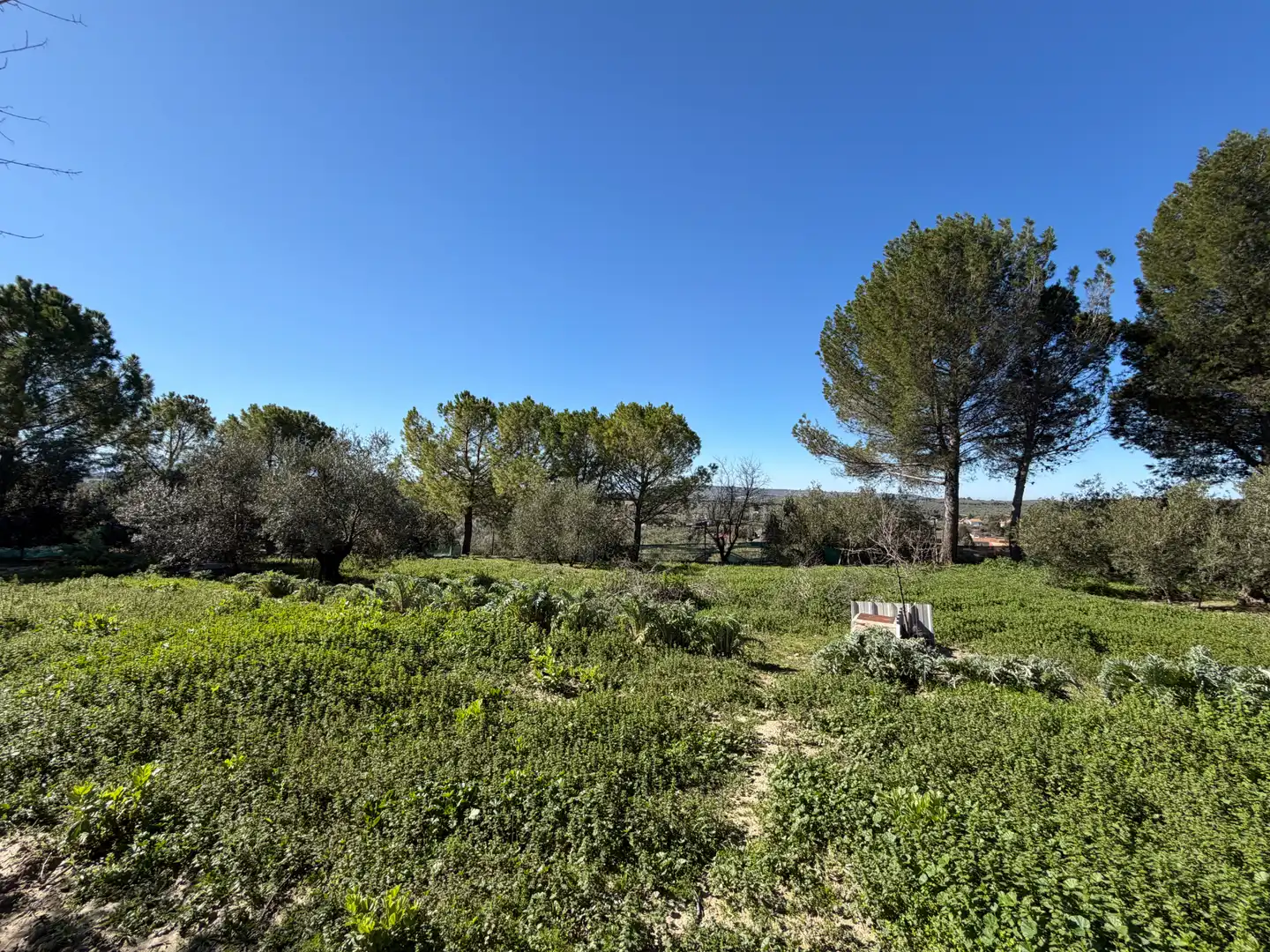 Terreny en venda en Úbeda