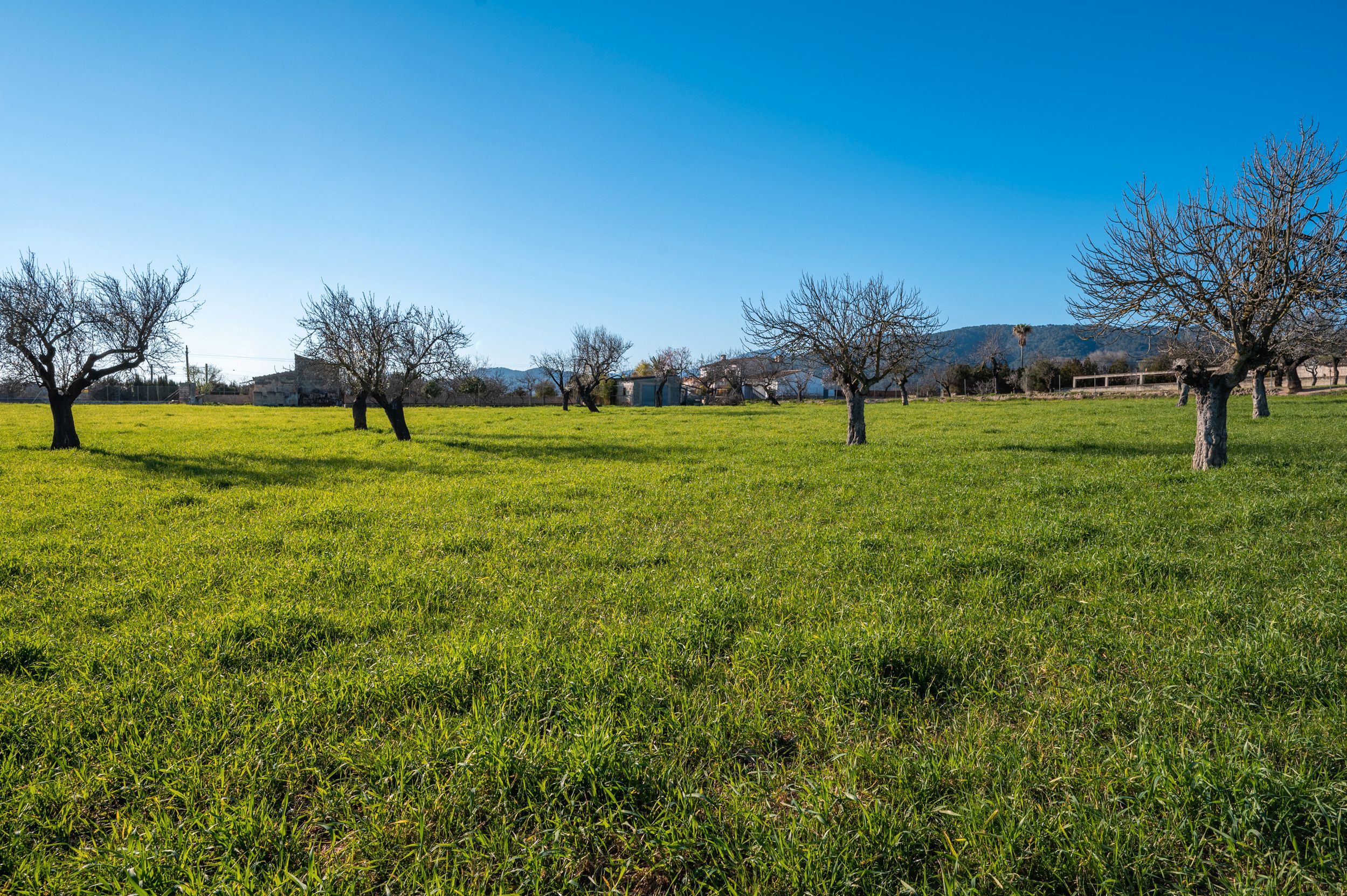 Residential for sale in Diseminado Poligono 9, 394, Es Blanquer