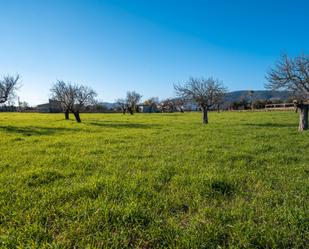Residencial en venda a Diseminado Poligono 9, 394, Es Blanquer