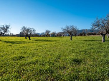 Terrain résidentiel à vendre à Diseminado Poligono 9 394