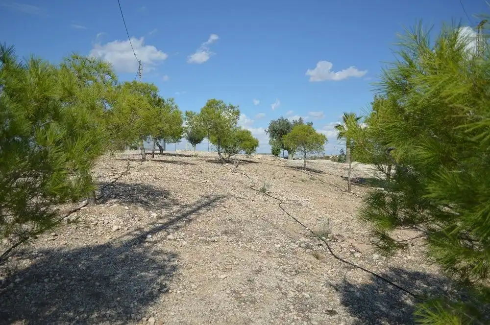Residential zum Verkauf in Las Torres de Cotillas