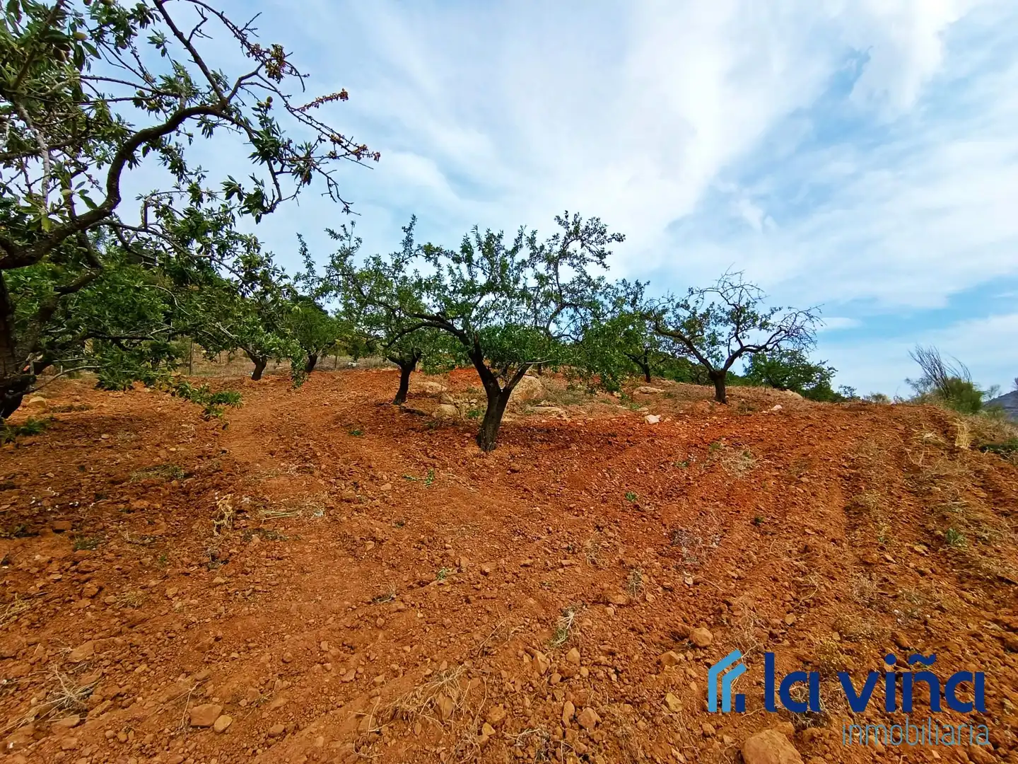 Terreni e lotti in vendita a Casabermeja
