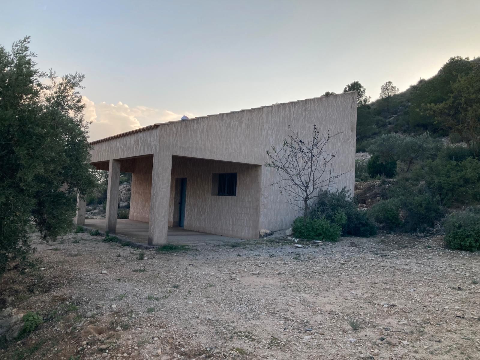 Vista exterior de Finca rústica en venda en Villena