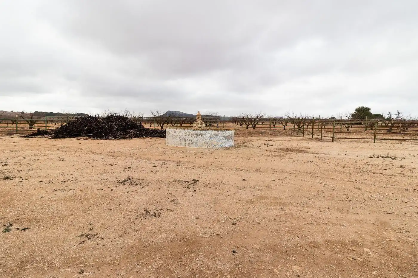 Xalet en venda a Mula, imagen 11