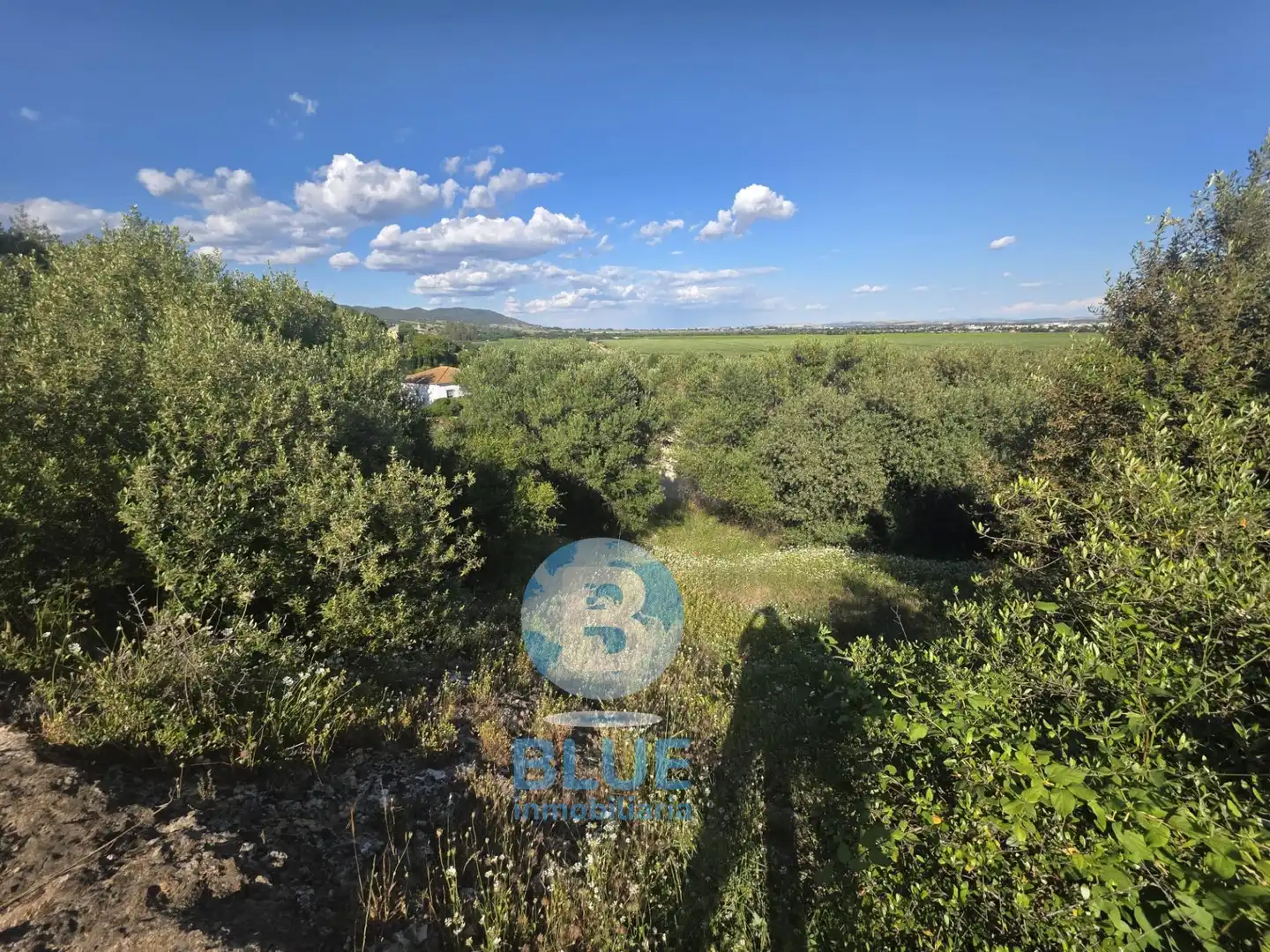 Residential land for sale in Almodóvar del Río, imagen 12