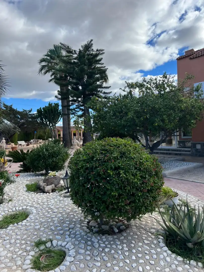 Garden of Houses for sale in Elche / Elx  with Heating, Terrace and Storage room