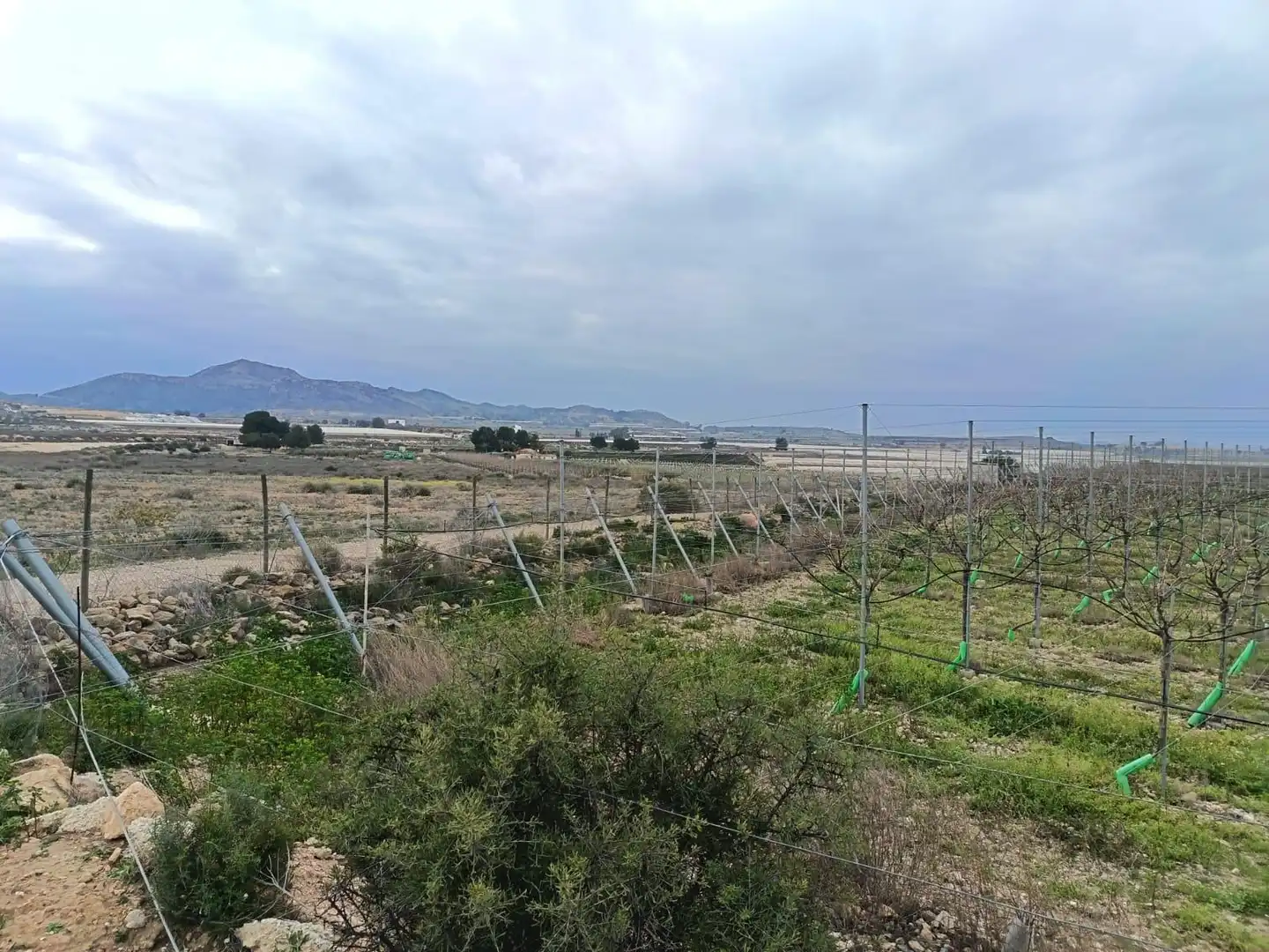 Terreno residencial en venta en Monforte del Cid, imagen 5