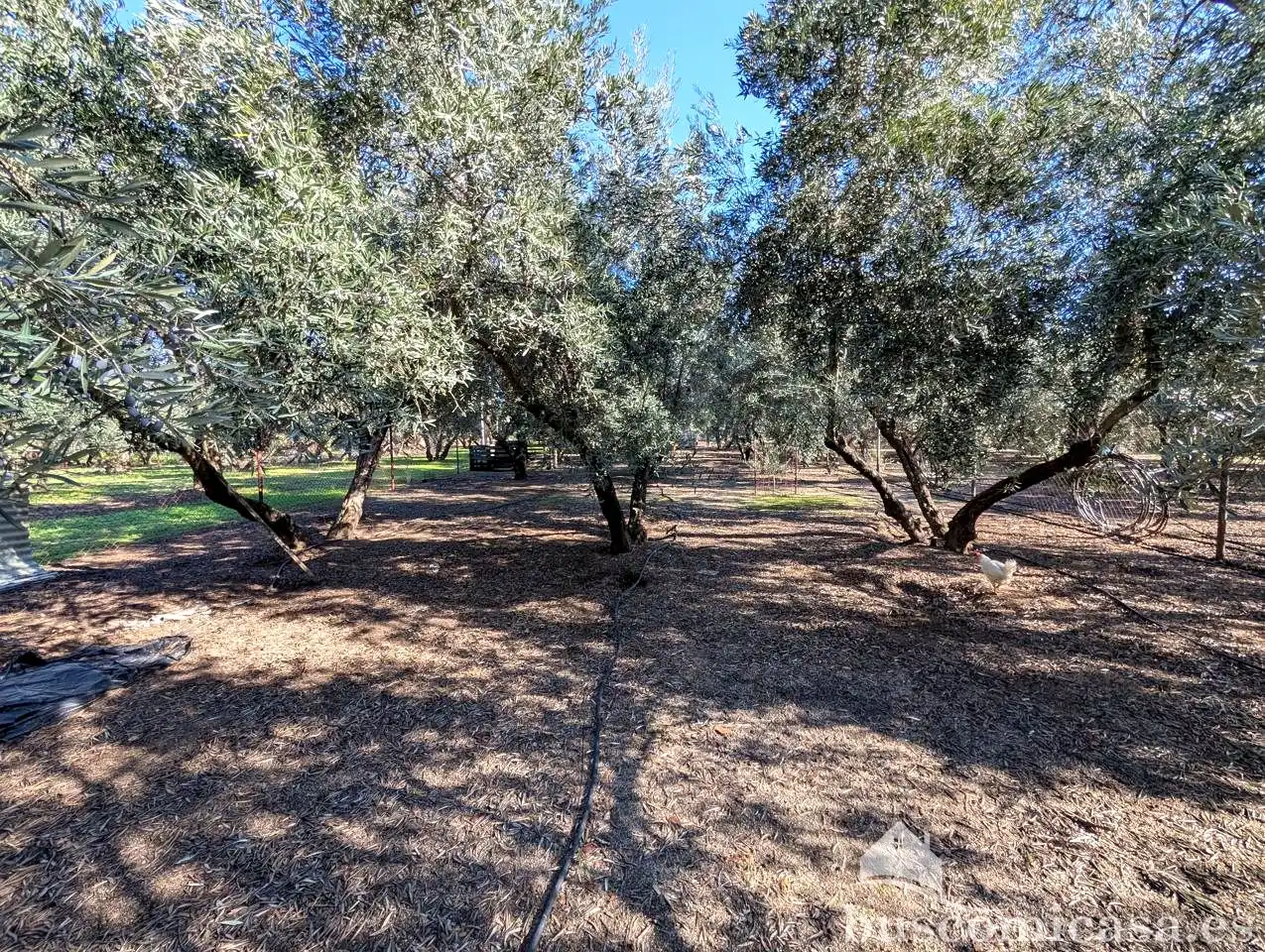 Casa rústica con piscina en venta en Piedra Rodadera, imagen 23