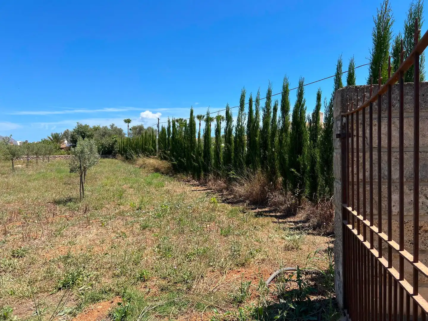 Terreno residenziale in vendita a Pollença Poble, imagen 20