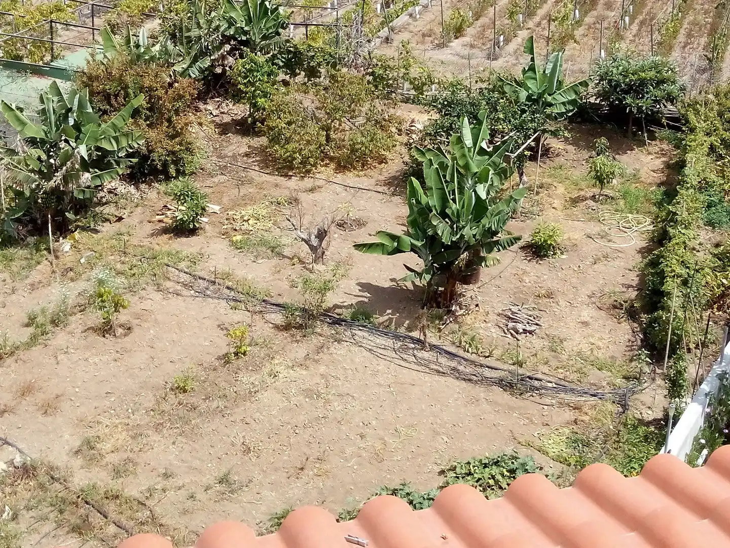 Houses for sale in La Guancha  with Private garden, Terrace and Storage room