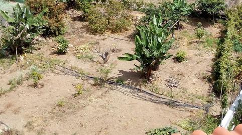 Foto 5 de Casa o chalet en venta en Calle Los Adernos, 1, La Guancha, Santa Cruz de Tenerife