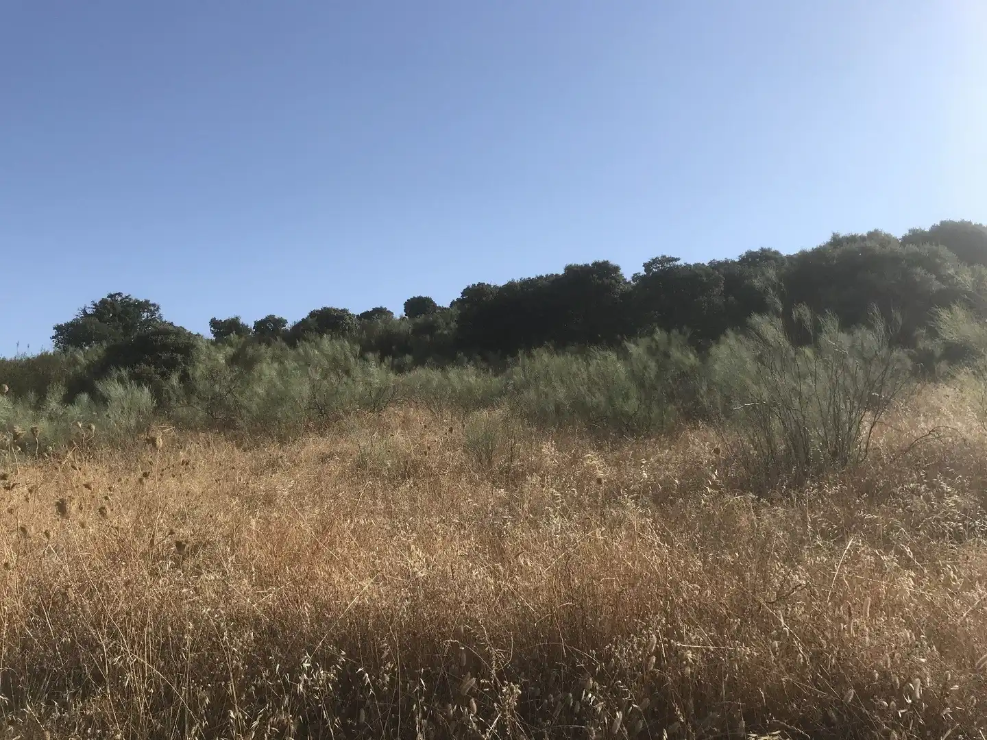 Terreni e lotti in vendita a Malpartida de Plasencia, imagen 3