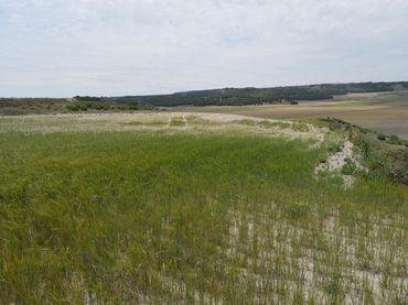 Terrain rustique à vendre à Paraje, Cerro la Muela