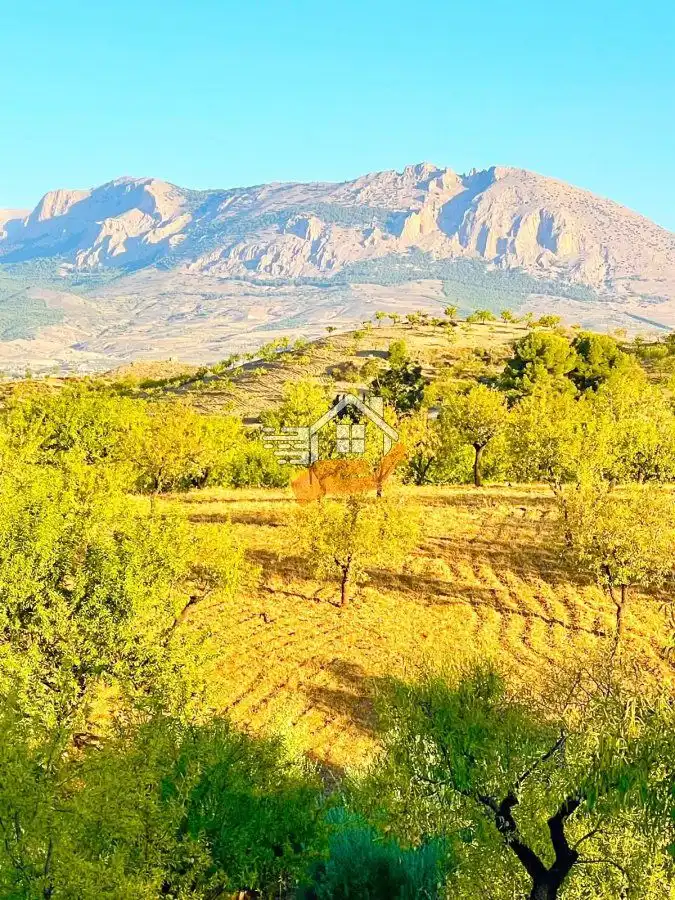 Casa rústica en venta en Vélez-Rubio, imagen 18