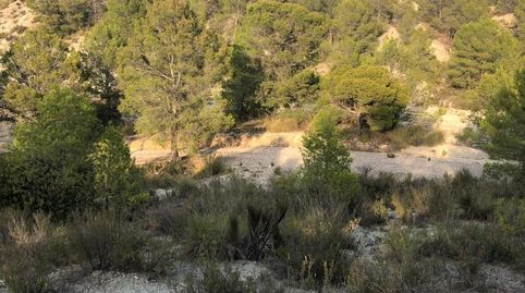 Foto 5 de Terreno en venta en Lorca, S/n, Puntarrón, Lorca