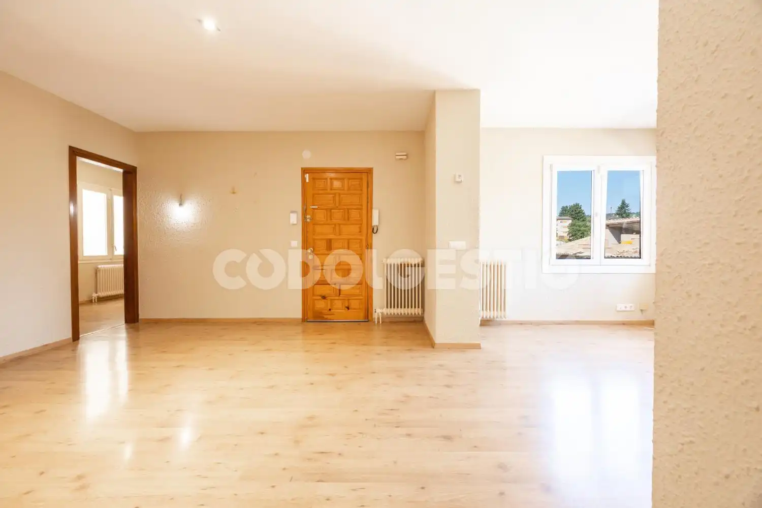 Sala d'estar de Pis en venda en Sant Quirze de Besora