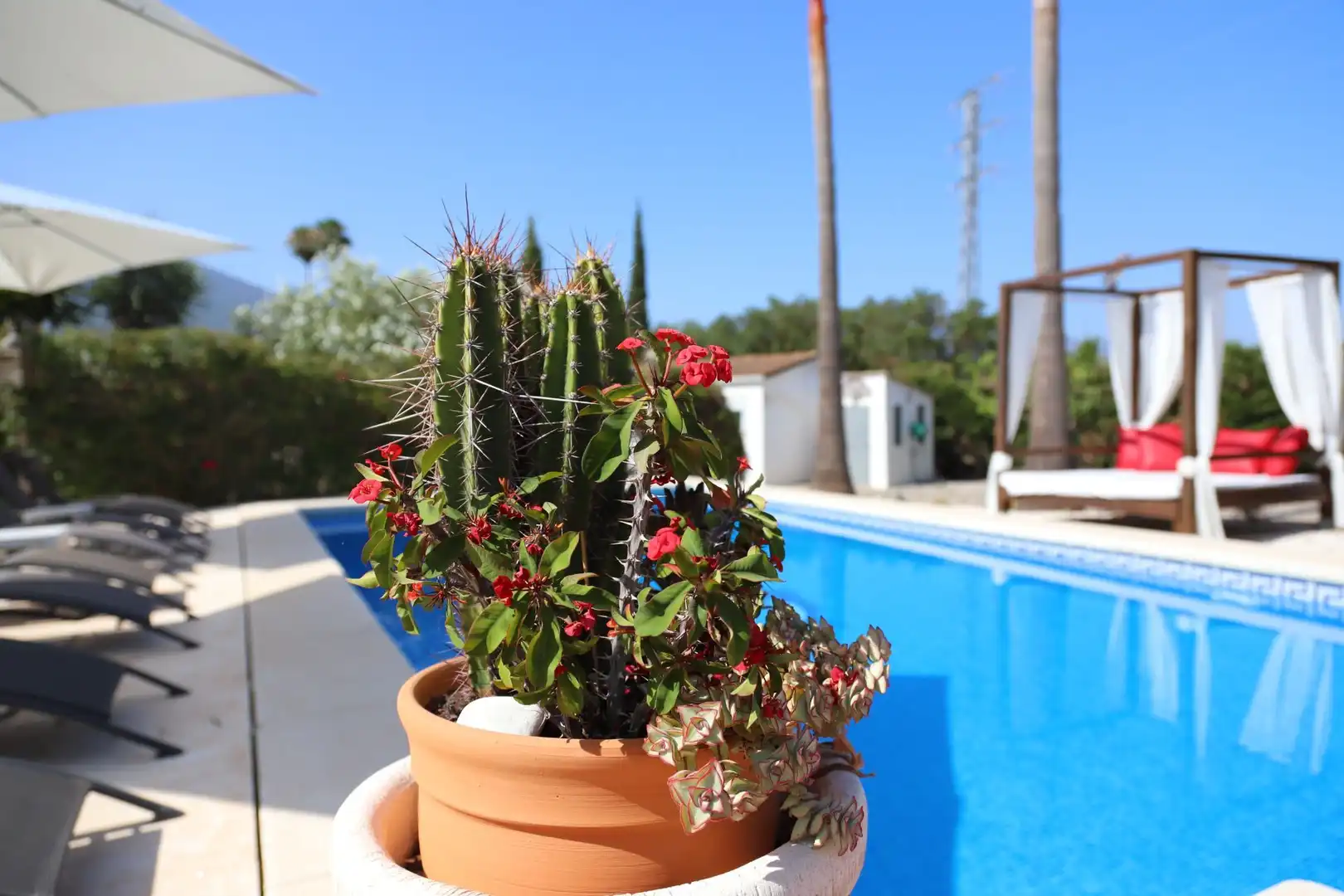 Piscina de Casa o chalet en venta en Alhaurín El Grande con Aire acondicionado, Jardín privado y Piscina