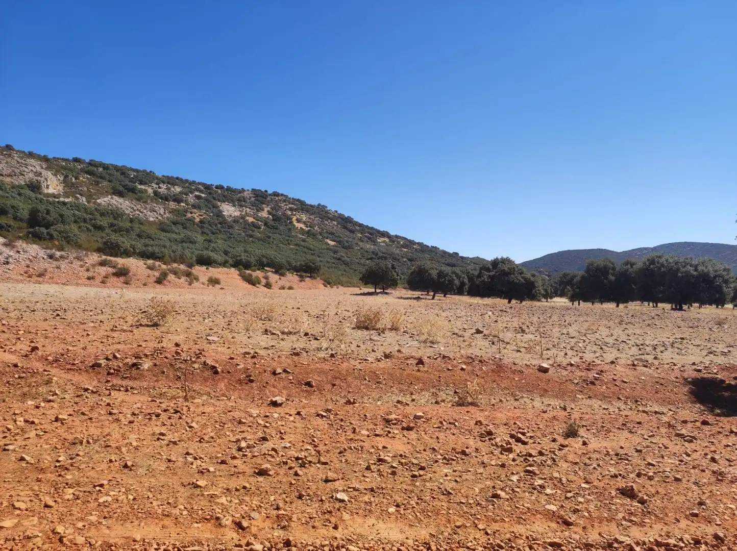 Casa rústica en venda a Almodóvar del Campo, imagen 13