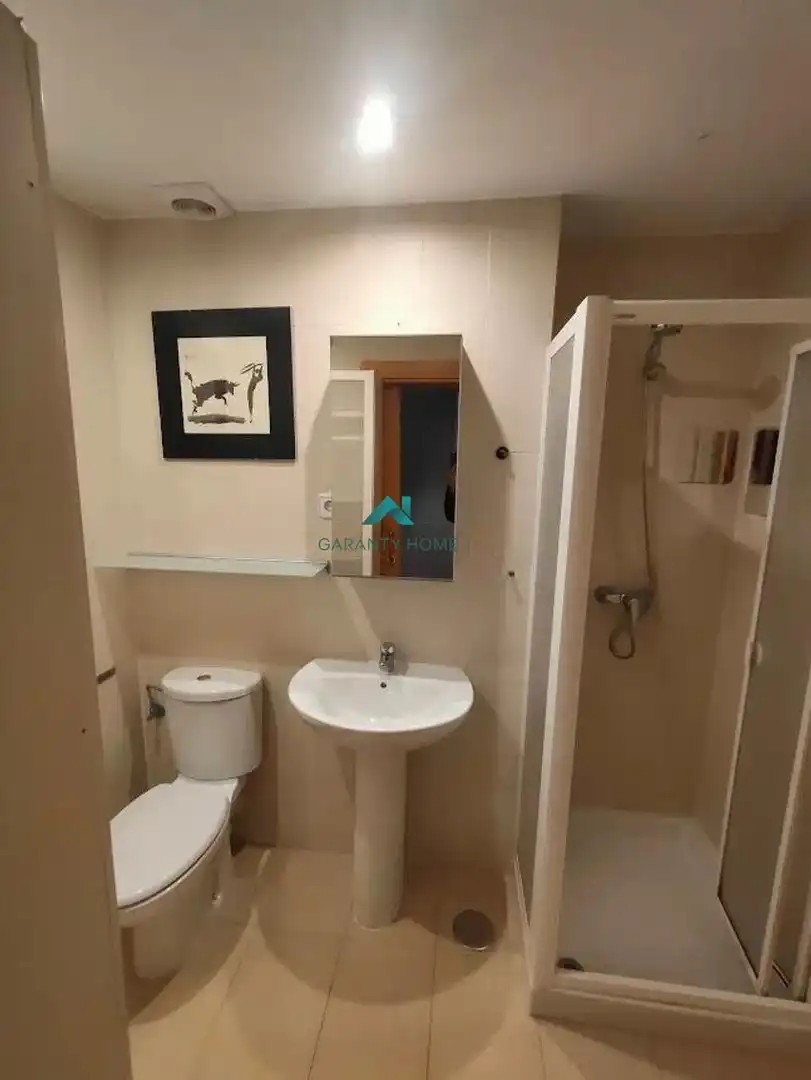 Studio à louer à Campodón - Ventorro del Cano, imagen 5