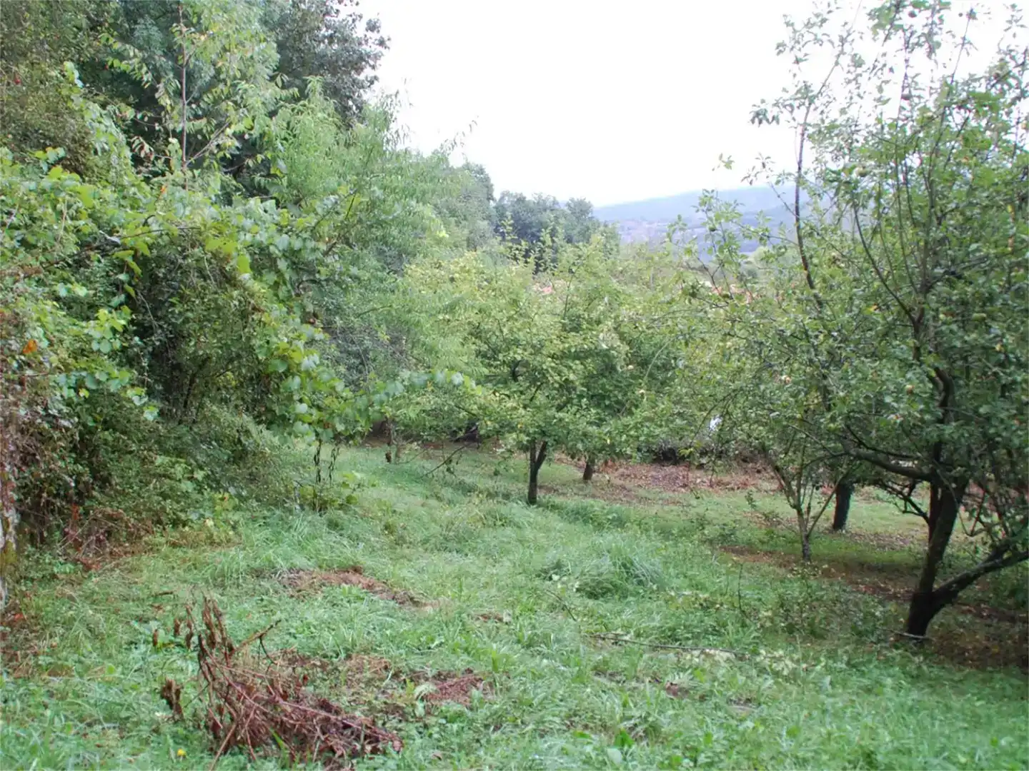 Finca rústica en venda en Cabrales