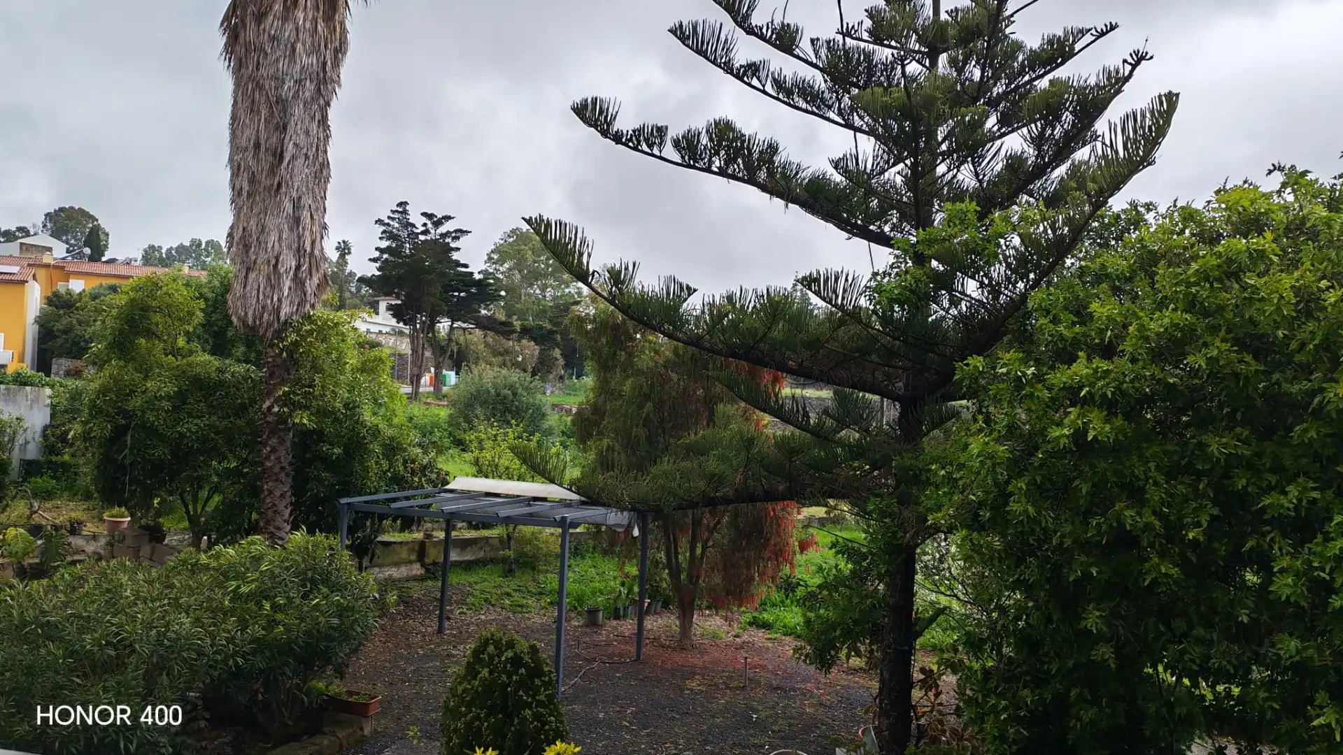 Jardín de Casa o chalet en venta en Valsequillo de Gran Canaria con Amueblado