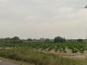 Terrain rustique à vendre à Sagunto ciudad
