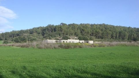 Finca rústica en Algaida con proyecto de venta, imatge 5