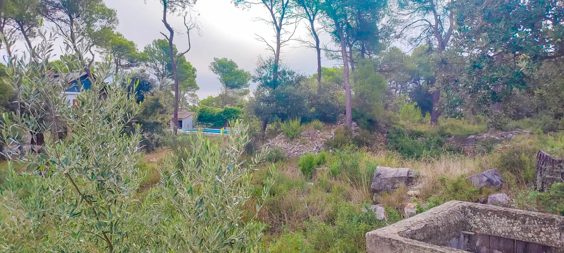 Terreny residencial en venda a Sant Vicenç de Castellet, imagen 7