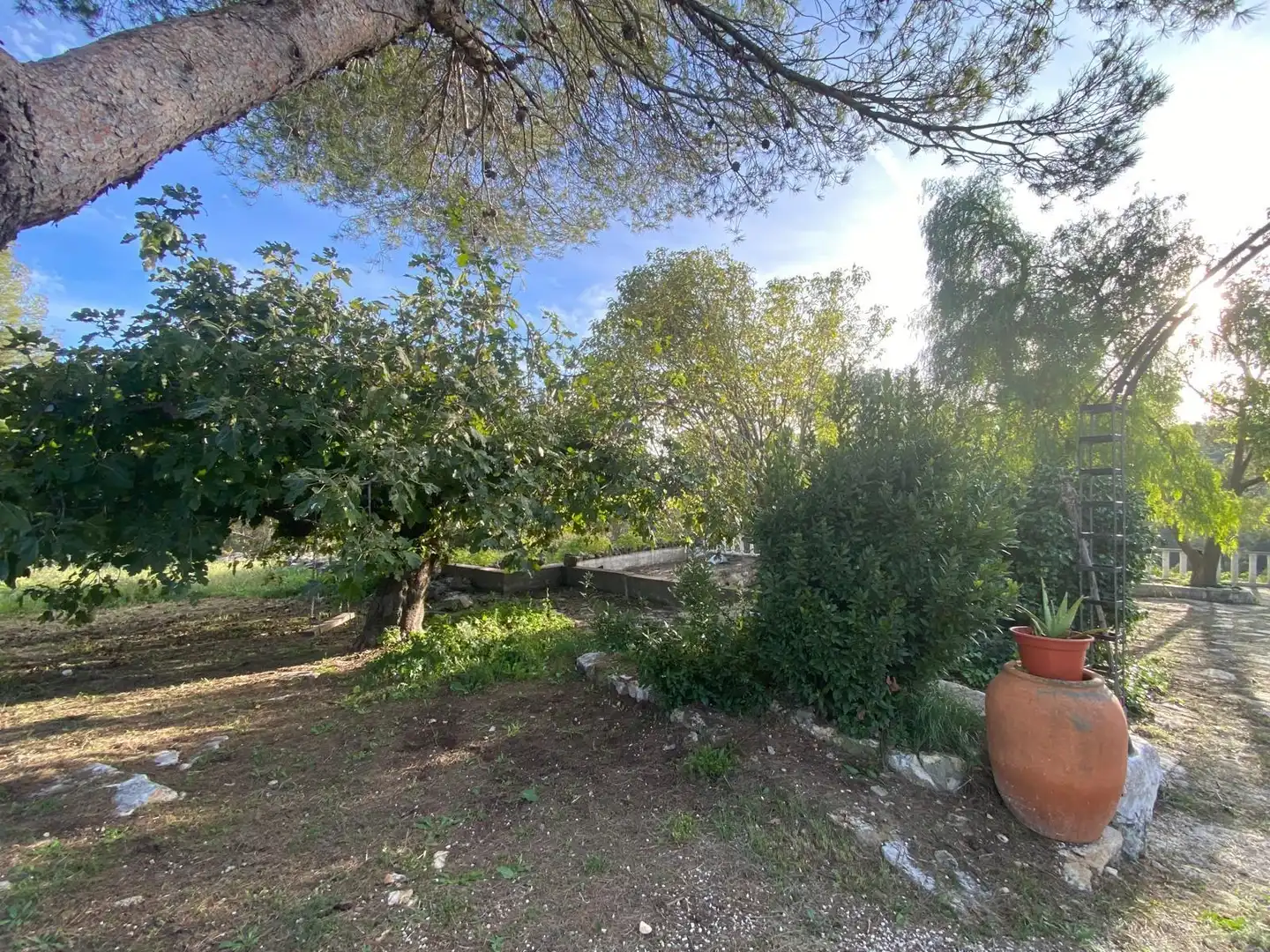Casa rustica in vendita a Enguera, imagen 11