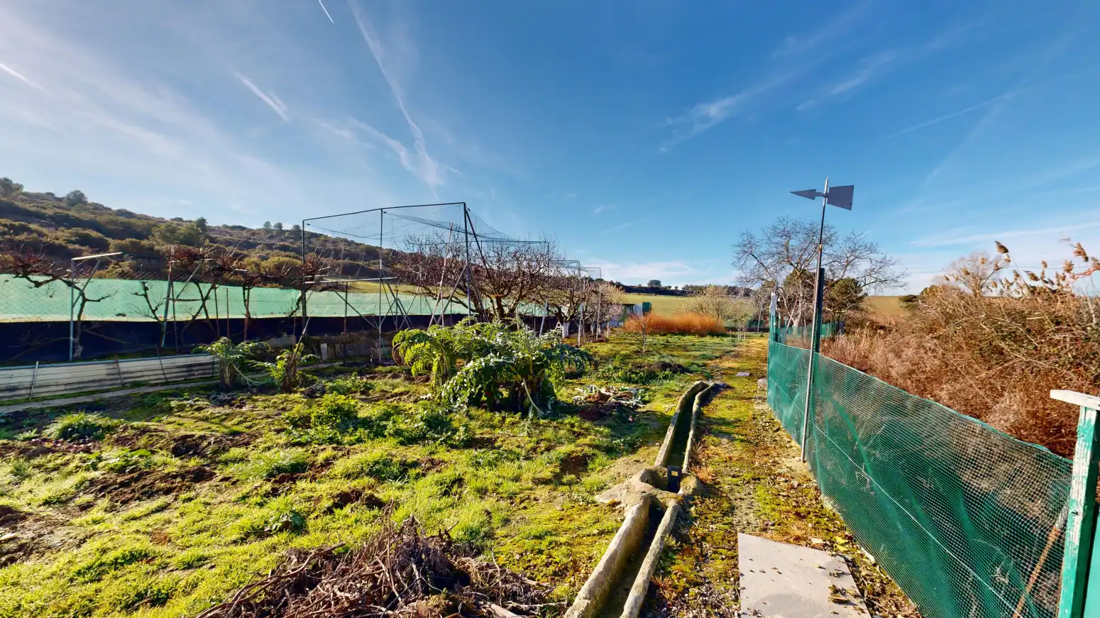 Rural land for sale in Tafalla - TERMINO JUNCAL, imagen 35