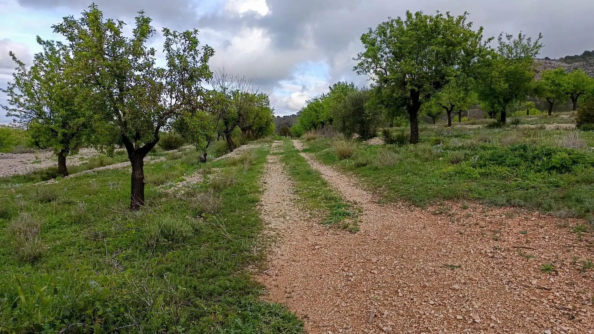 Haus mit Garten zum Verkauf in Hondón de las Nieves / El Fondó de les Neus, imagen 10