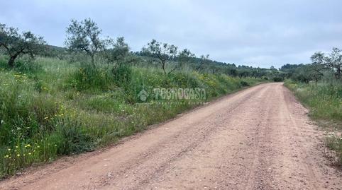 Foto 3 de Finca rústica en venda a Puebla de Obando, Badajoz