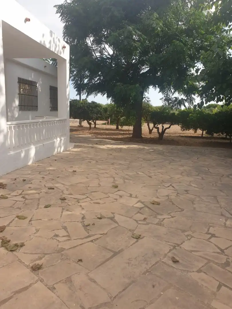 Finca rústica en venda en Vinaròs amb Jardí privat, Traster i Piscina