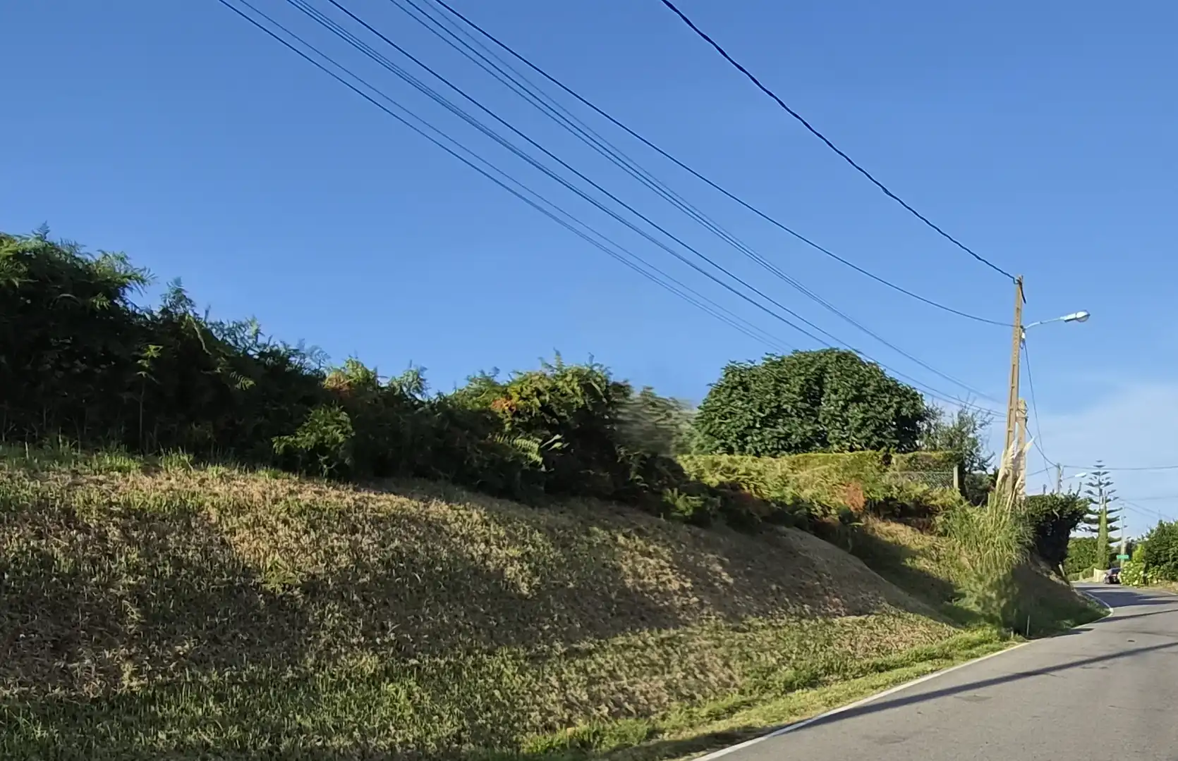Terreni e lotti in vendita a Rúa Celso Emilio Ferreiro, imagen 15