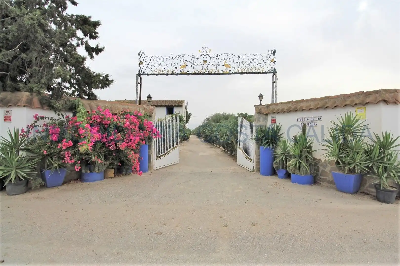 Finca rústica en venda en Puerto Lumbreras amb Calefacció, Jardí privat i Terrassa