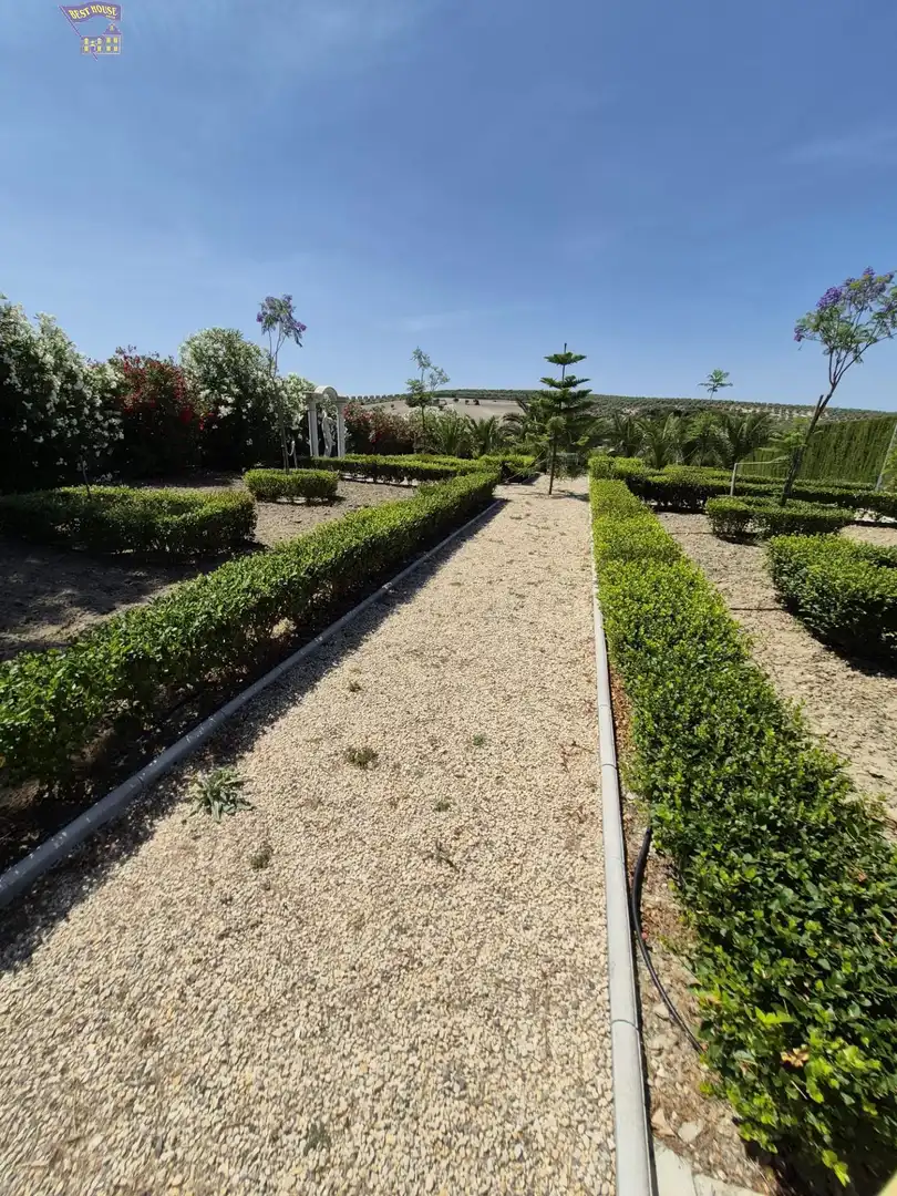 Casa rústica amb jardí en venda a Arcos de la Frontera, imagen 87