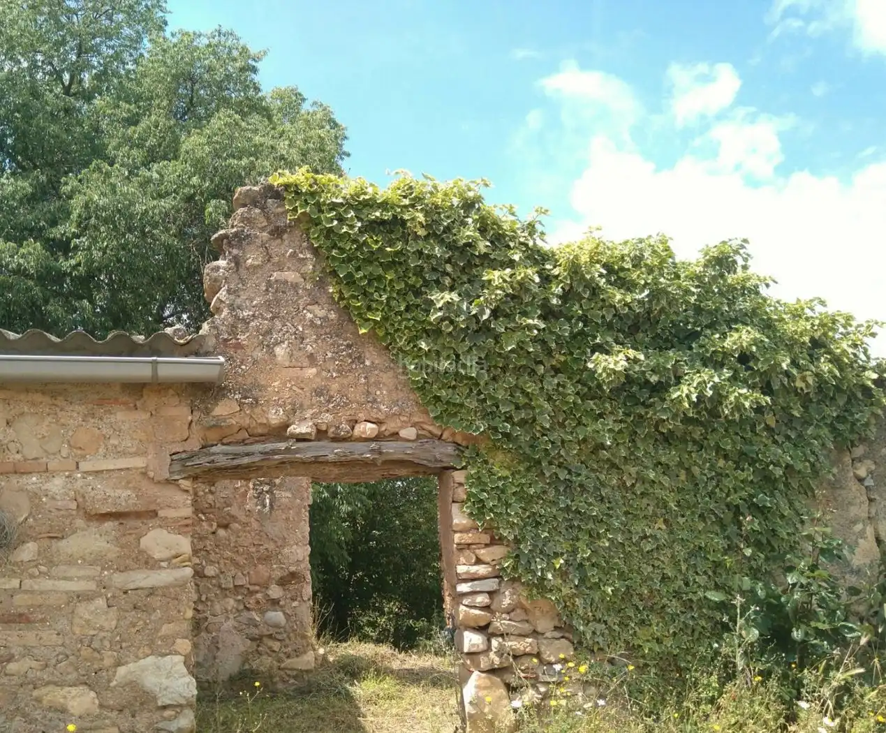 Rustikales Grundstück zum Verkauf in Avinguda Vilanova 4, imagen 2